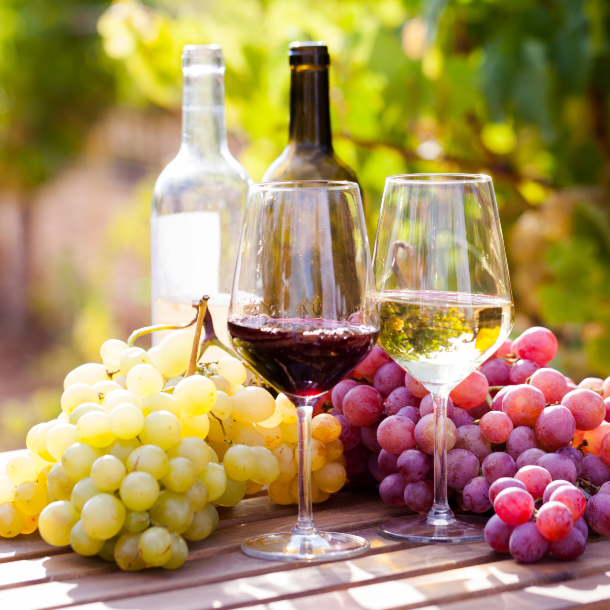 //www.som2travel.es/cdn/images/content/Nueva Zelanda/uvas-andalucia-y-extramadura.jpg
